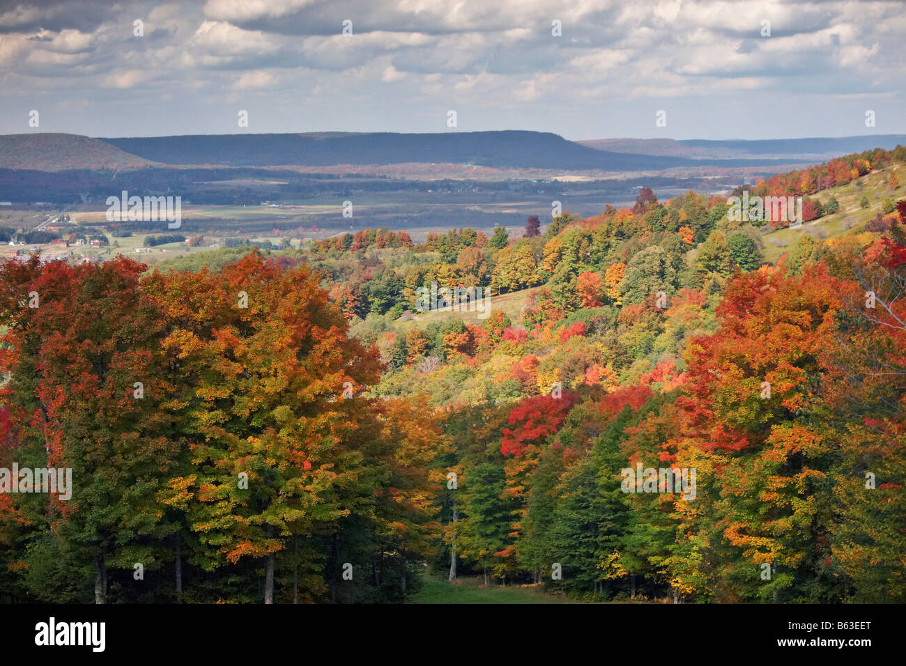 Autumn foliage in the Canaan Valley West Virginia Stock Photo