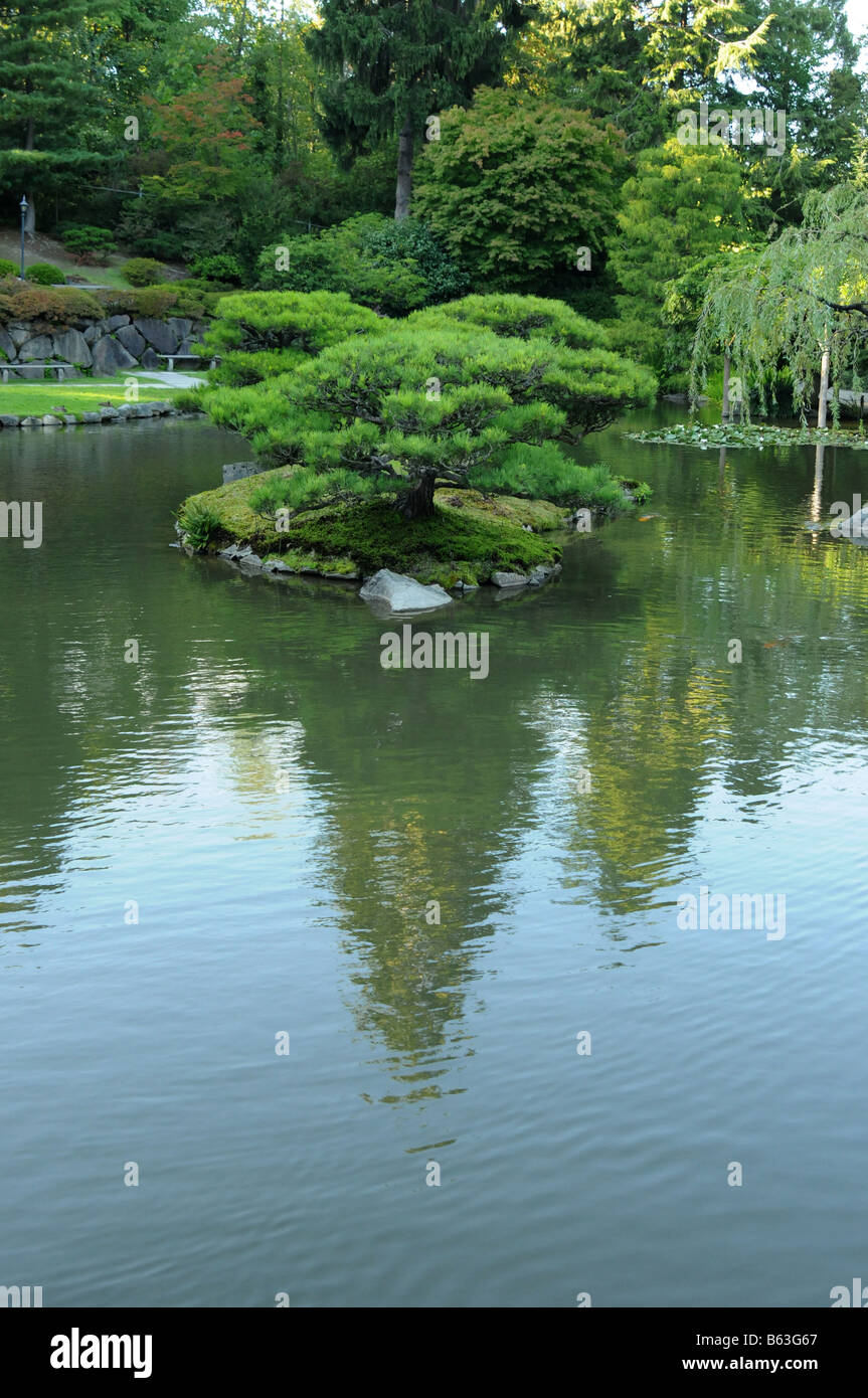 Lake,Japanese garden,Seattle Stock Photo