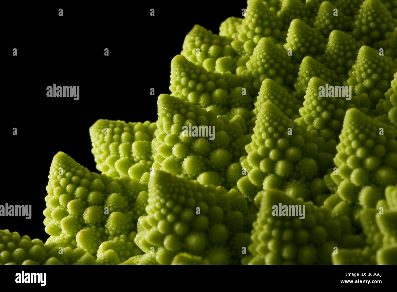 A detail showing the fractoid florets of the Romanesco Cauliflower Stock Photo