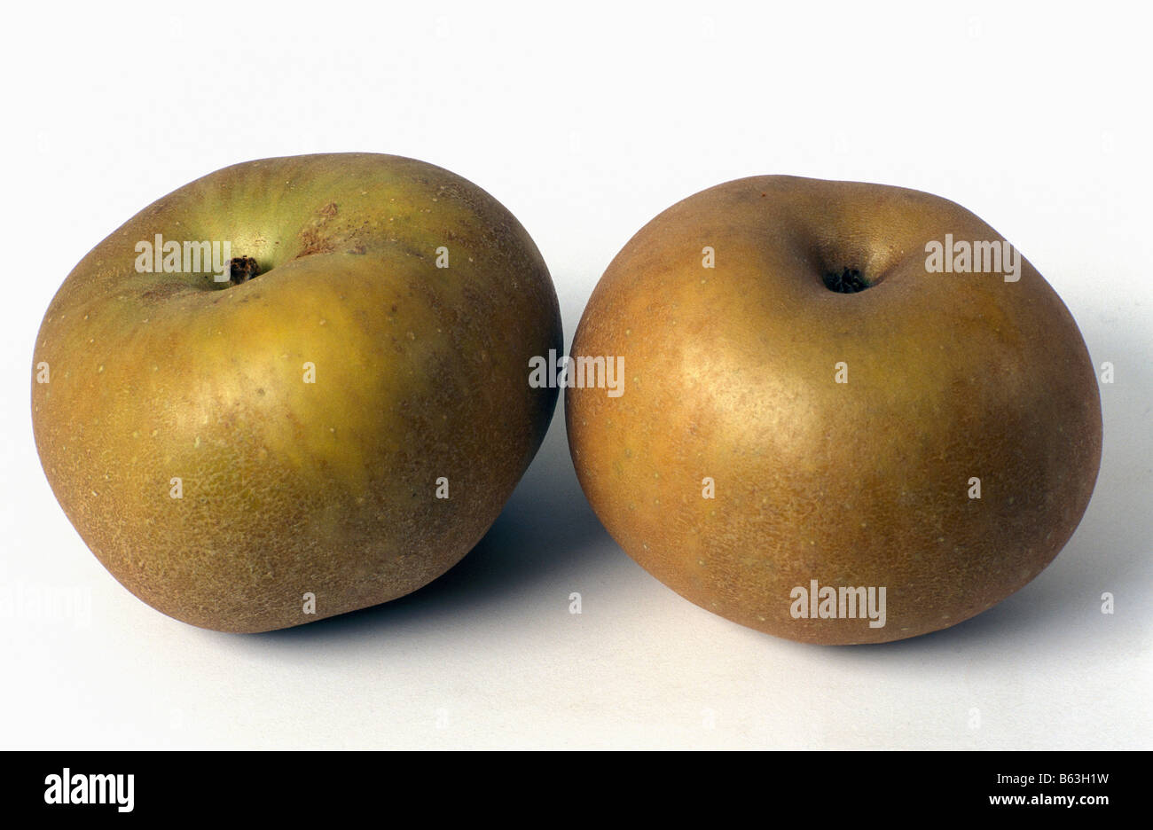 hires stock photography and images Alamy