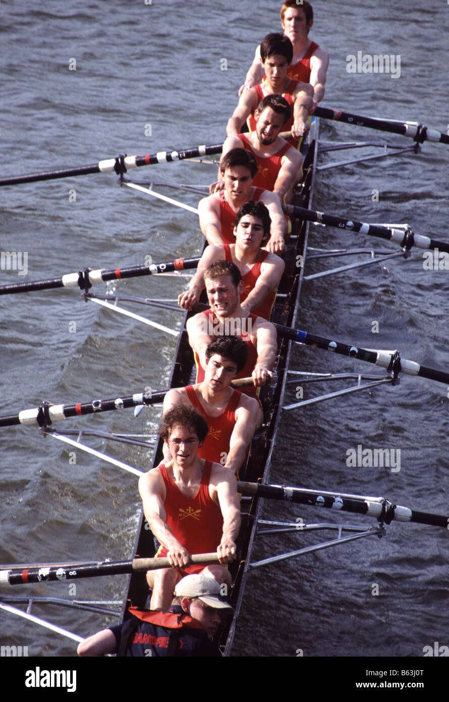 Mansfield College eights crew rowing hard, competing in the Oxford Eights boat race, Thames River, England Stock Photo