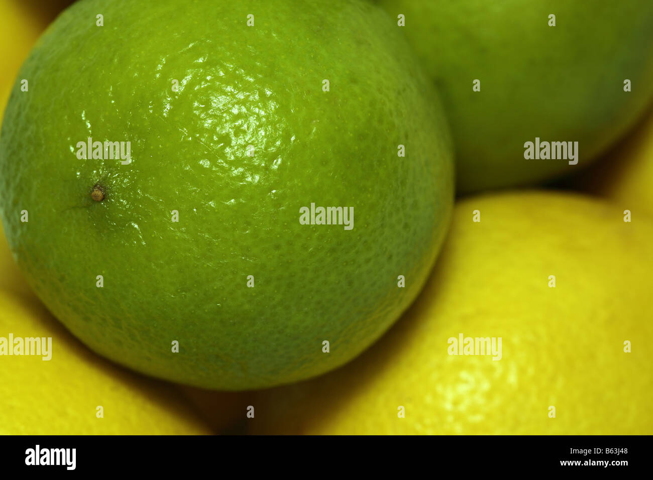 lemons and limes Stock Photo