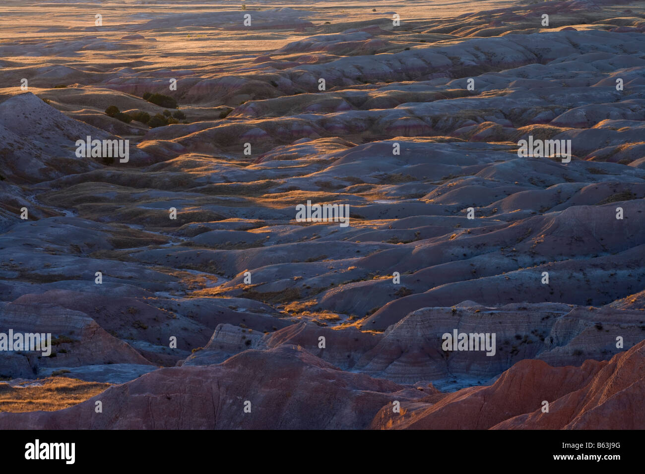 Sage Creek Wilderness, Badlands National Park, South Dakota Stock Photo