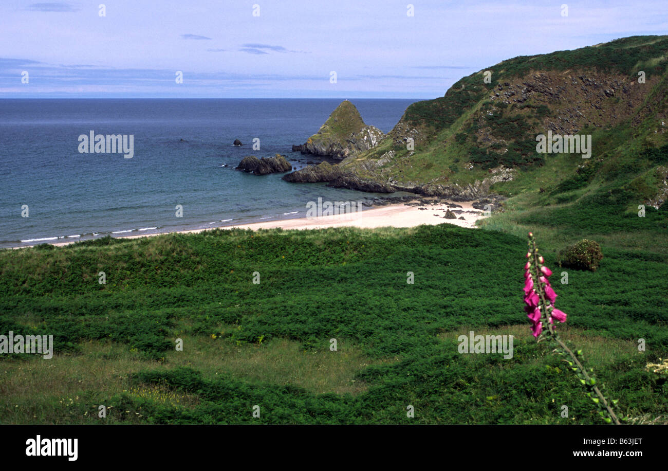 Fine white sands of deserted Sunnyside Beach and grassy cliffs on the coastal walking route near Cullen Moray Firth North East Scotland Stock Photo
