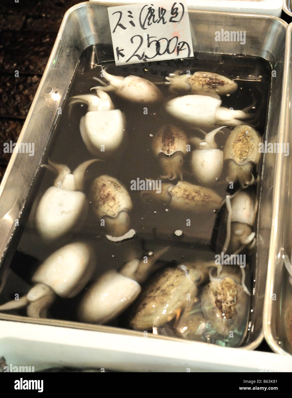 https://c8.alamy.com/comp/B63K81/squid-in-black-ink-water-on-sale-at-the-tsukiji-fish-market-tokyo-B63K81.jpg