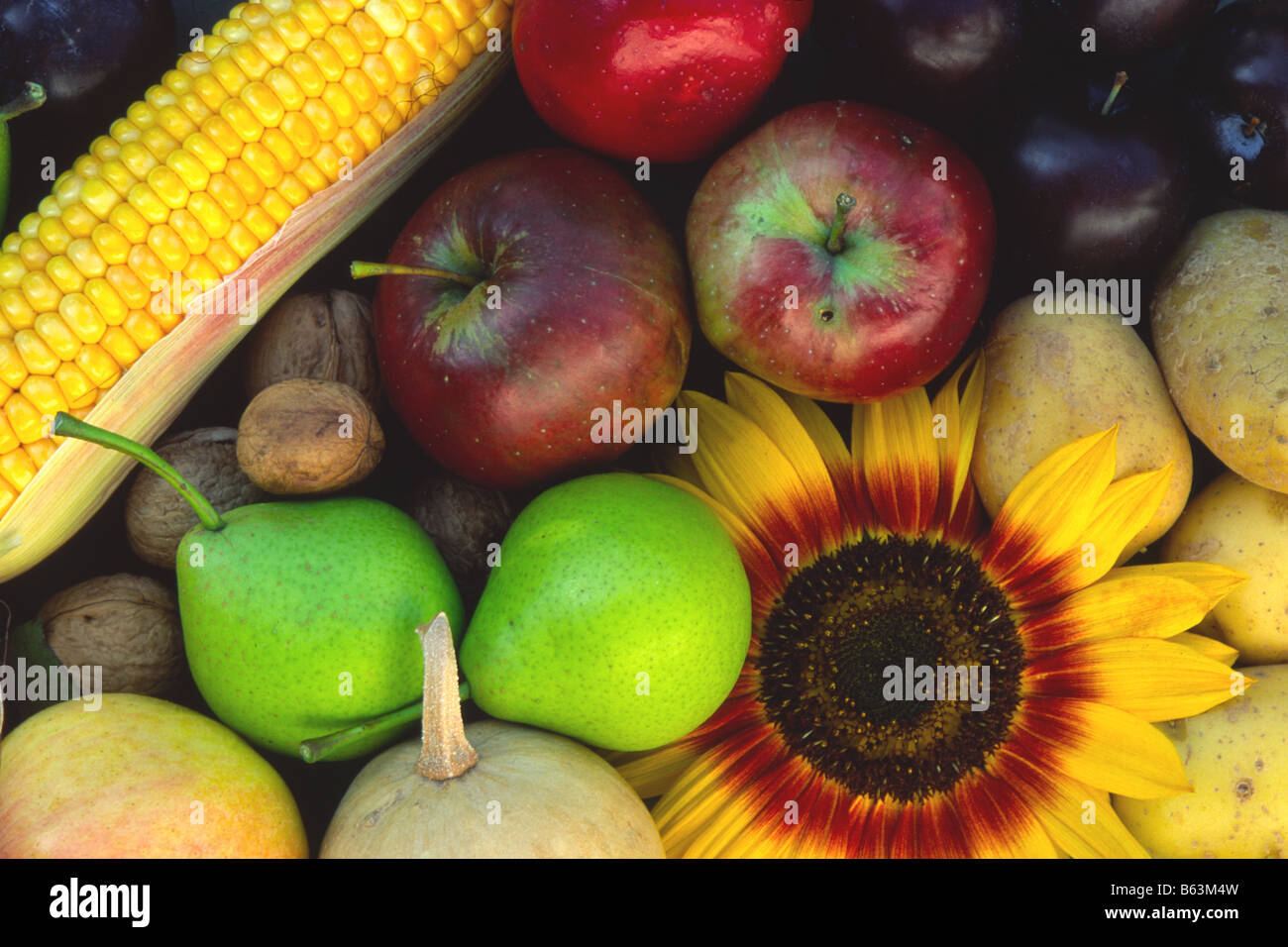 Flowers and fruit harvest of a summer Stock Photo
