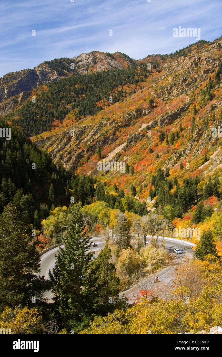 Aspens maples and spruce trees at the height of autumn along the curving road in Big Cottonwood Canyon part of the Wasatch Mount Stock Photo