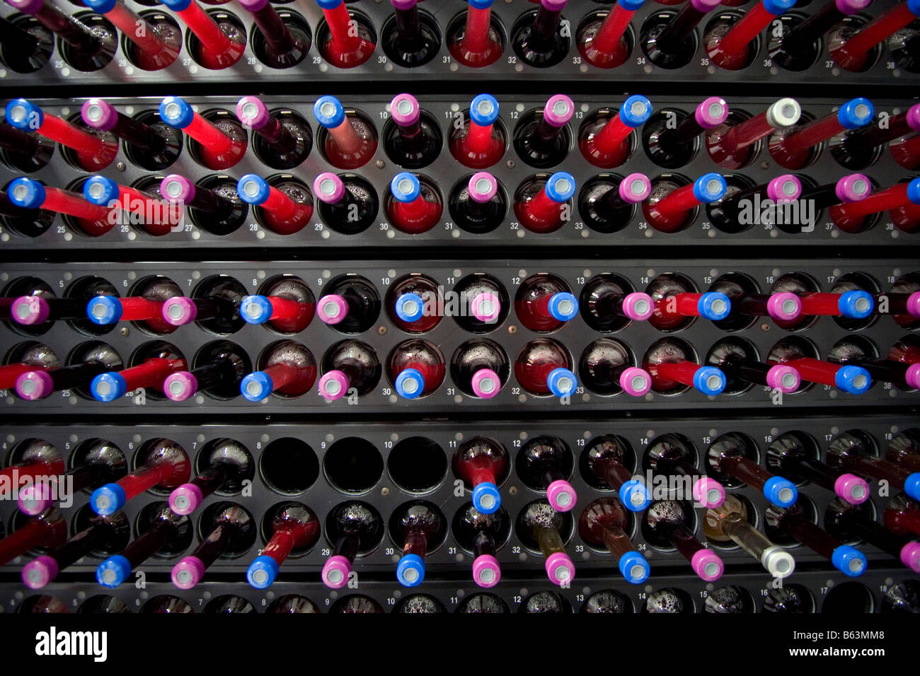 Blood test in culture bottles in incubator being tested for bacterial