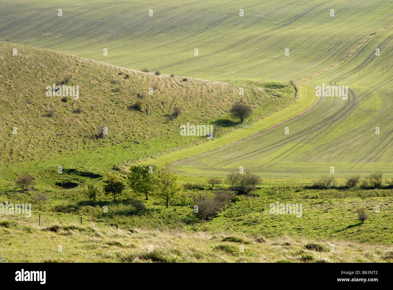 Hillside, trees and field in Pewsey Valley, Wiltshire, north of Alton Barnes and Stanton St Bernard Stock Photo