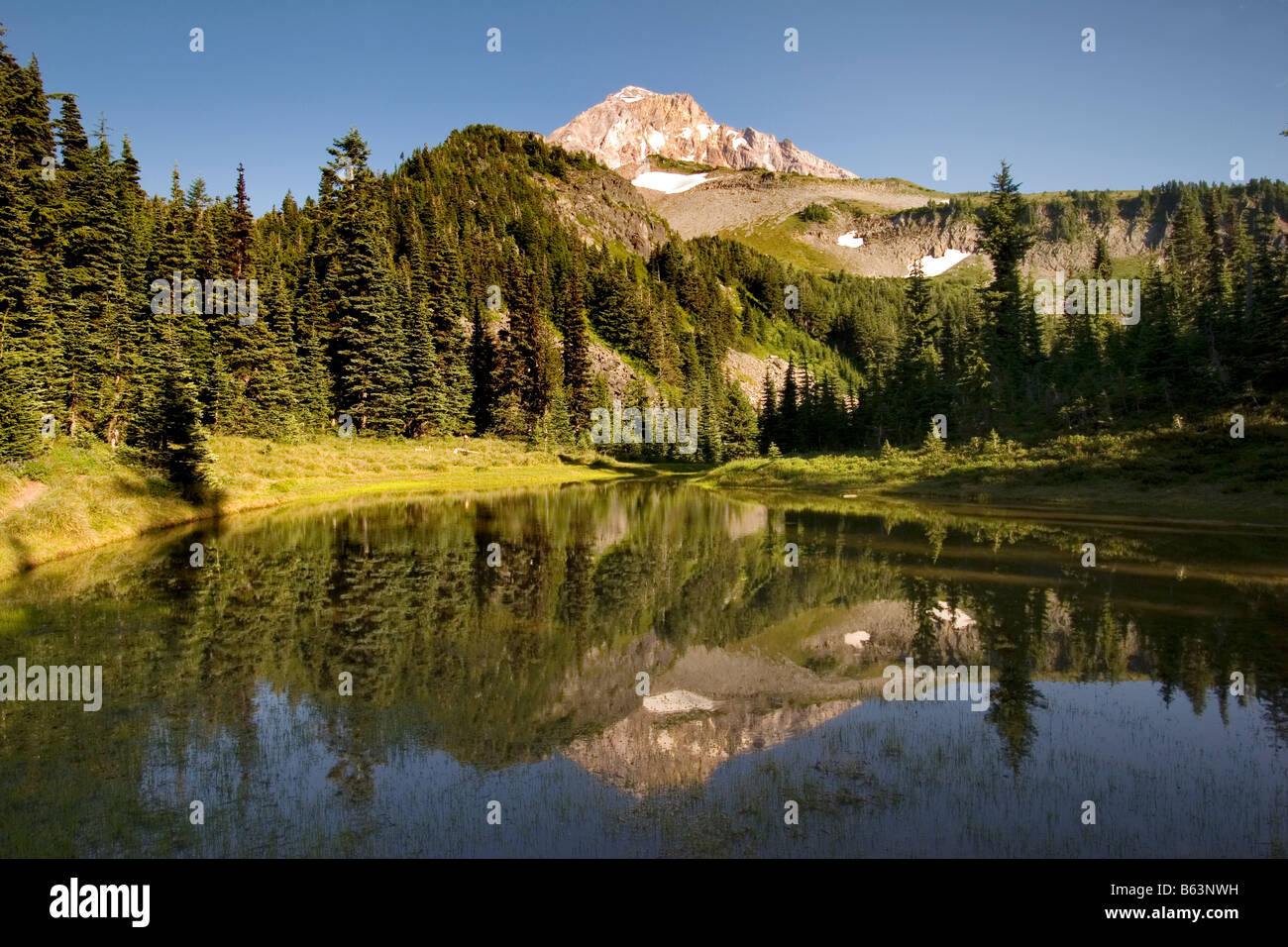 Mount Hood reflected in a tarn along the Timberline Trail Mount Hood Wilderness Mount Hood