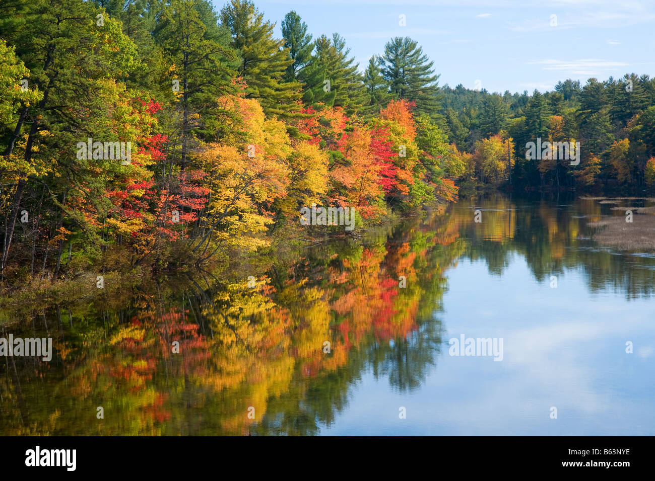 Fall trees along the banks of the Ossipee River, Maine, New England, USA. Stock Photo