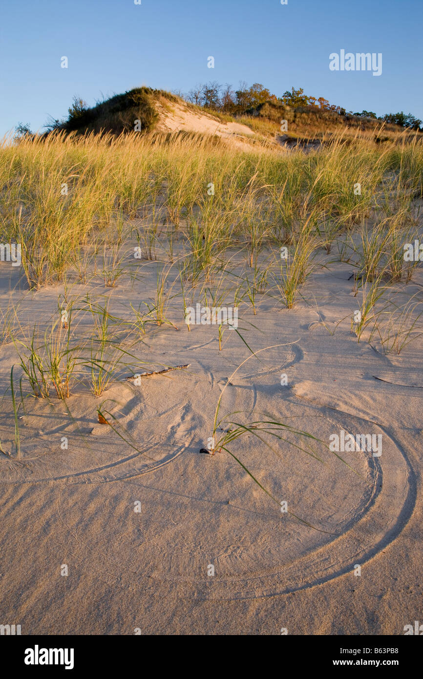 pattern in sand from wind blown grasses, Indiana Dunes State Park, Indiana Stock Photo