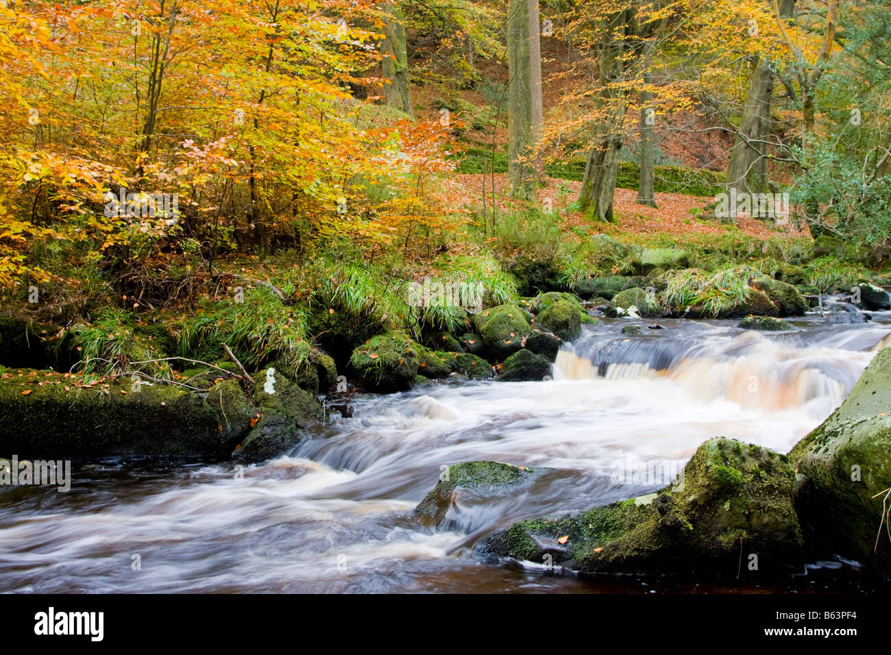River at Hardcastle Crags in Autumn Stock Photo