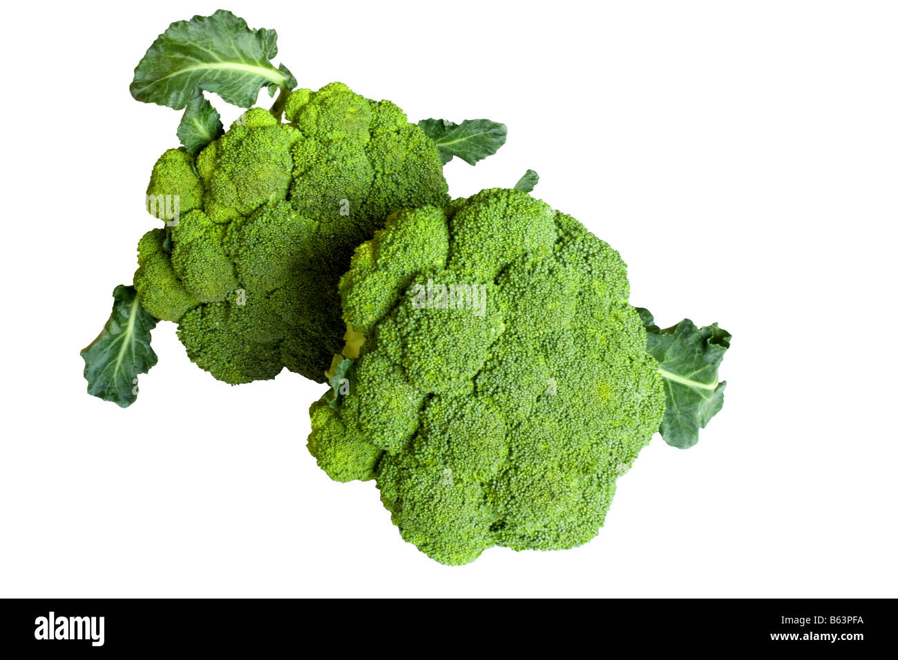 Two broccoli heads Stock Photo Alamy