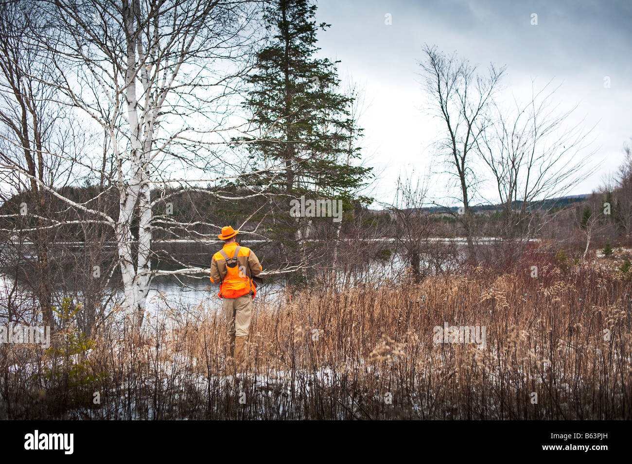 Grouse Hunting in New Brunswick late fall early winter with snow cover