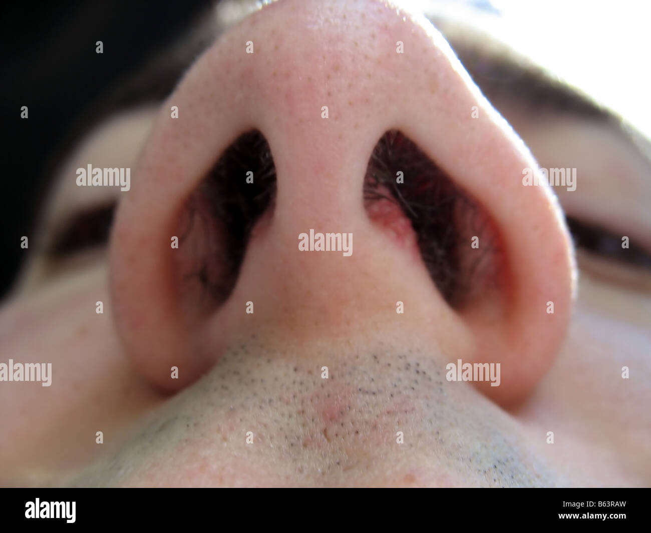 looking up some really big nostrils Stock Photo