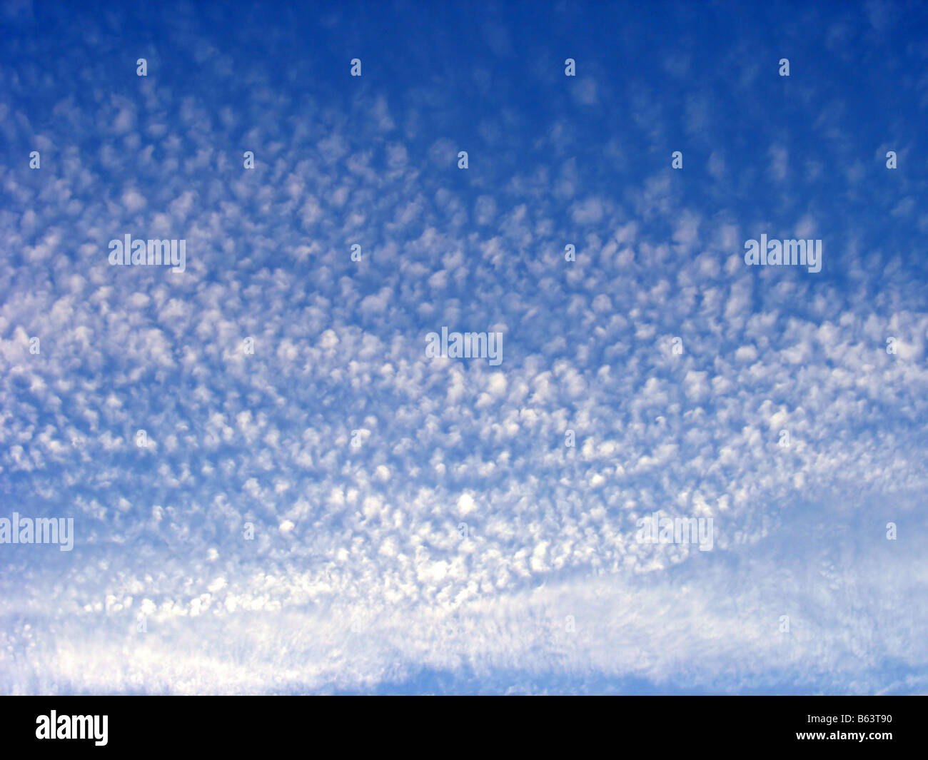 Puffy cotton like clouds spread across a bright blue sky Stock Photo