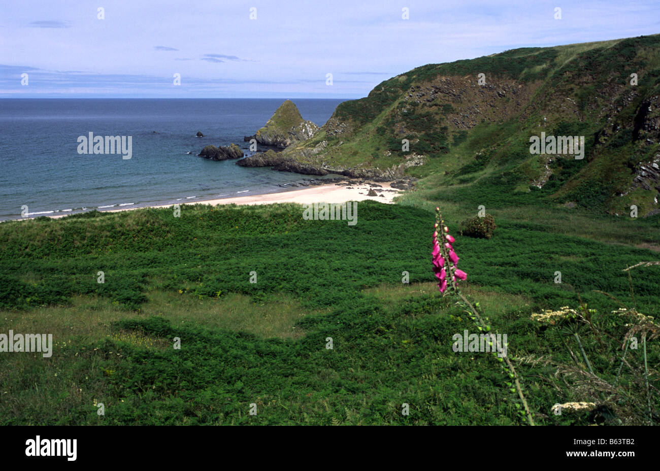 White sands of unspoilt Sunnyside Beach with grassy cliffs rocky outcrops bracken on the coast path near Cullen Moray Firth North East Scotland Stock Photo