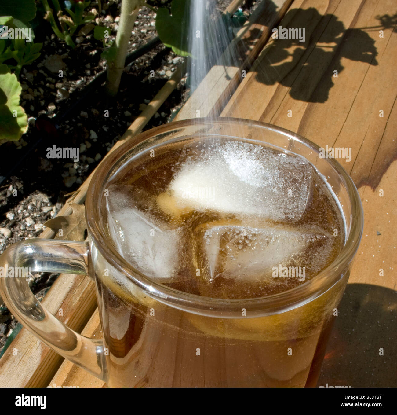 Still Life Iced tea in clear glass with or without sugar Stock Photo Alamy