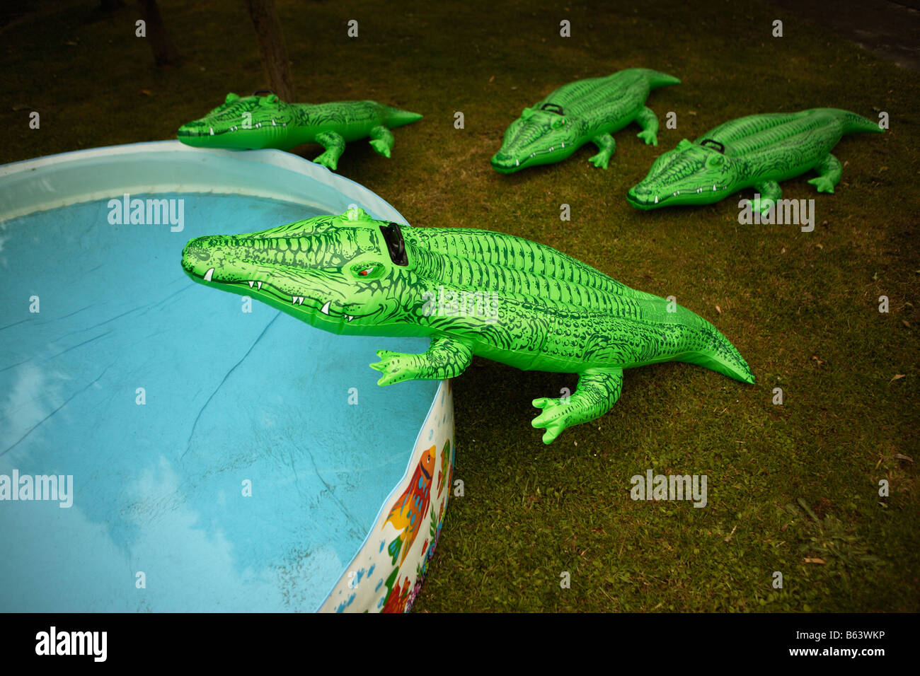 Inflatable crocodiles and paddling pool Stock Photo