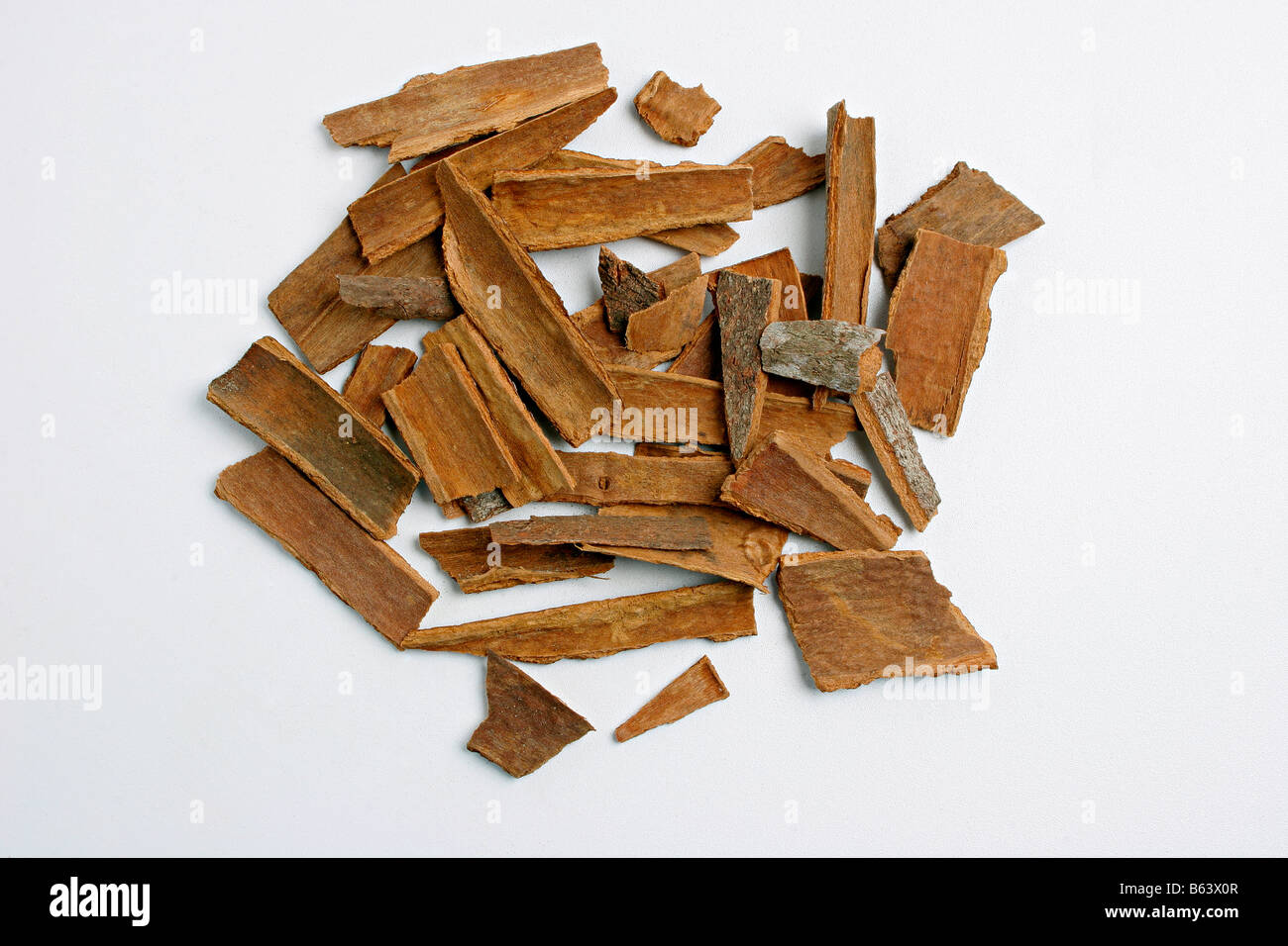 Closeup of Broken Cinnamon. Stock Photo