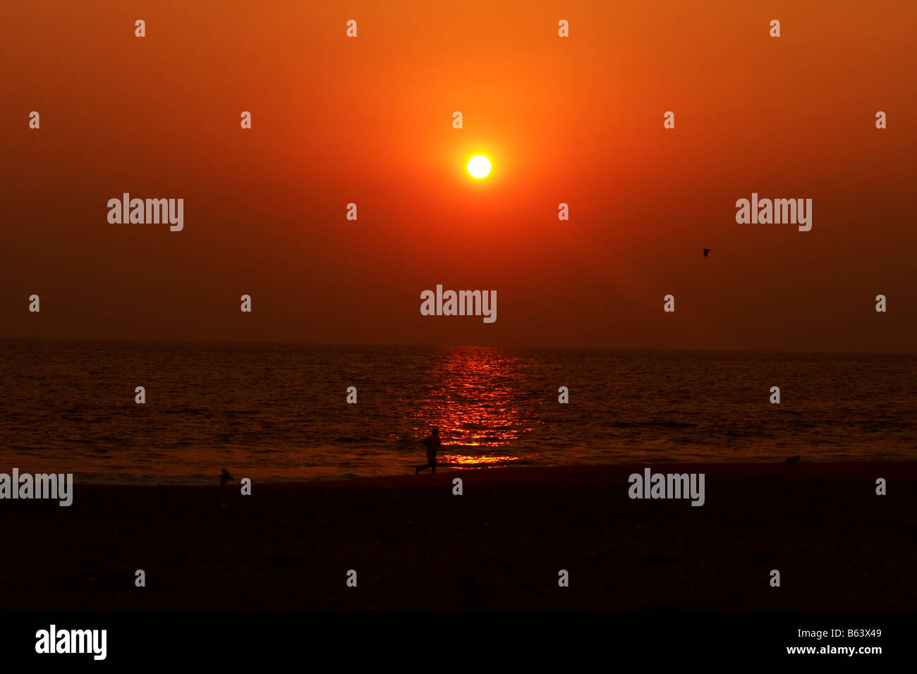 Sunset on a beach Stock Photo - Alamy