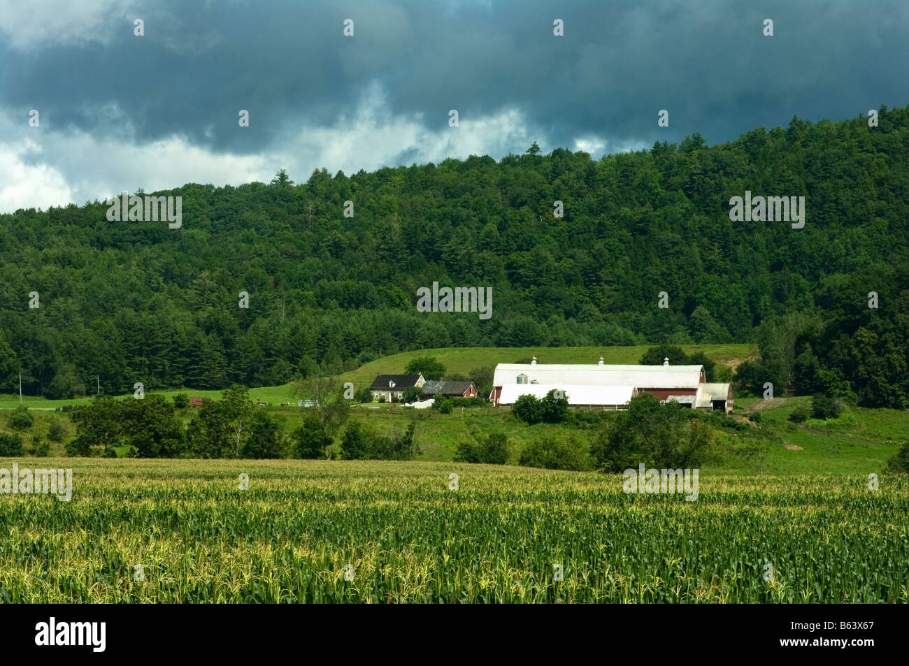 Typical Vermont farm landscape with old stone farmhouse long barns silo ...