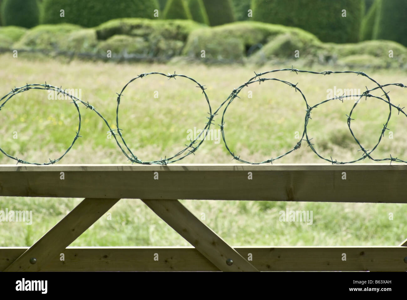 barbed wire on a gate Stock Photo Alamy