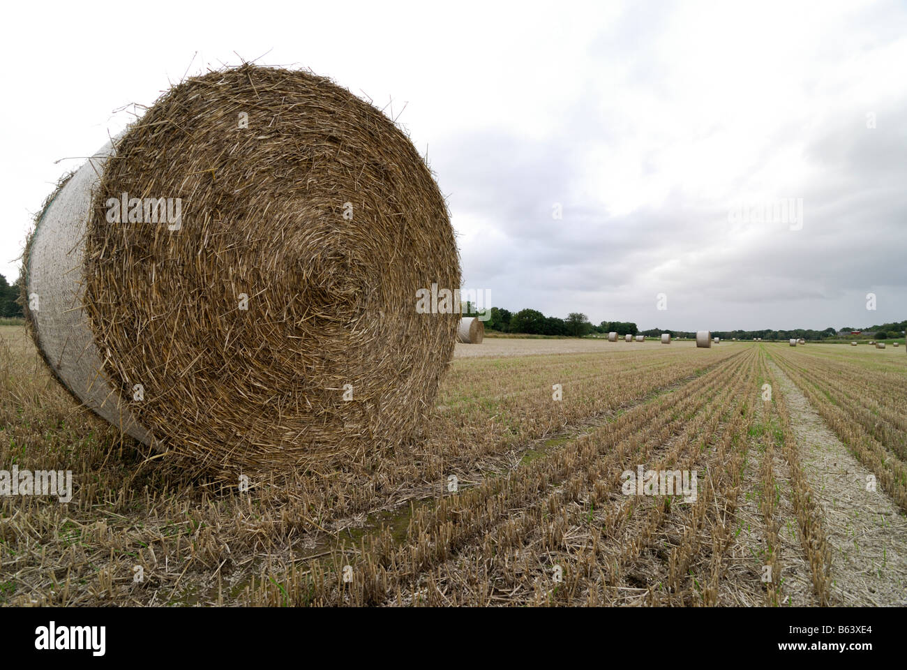 The drums of hay Autumn Sweden Stock Photo