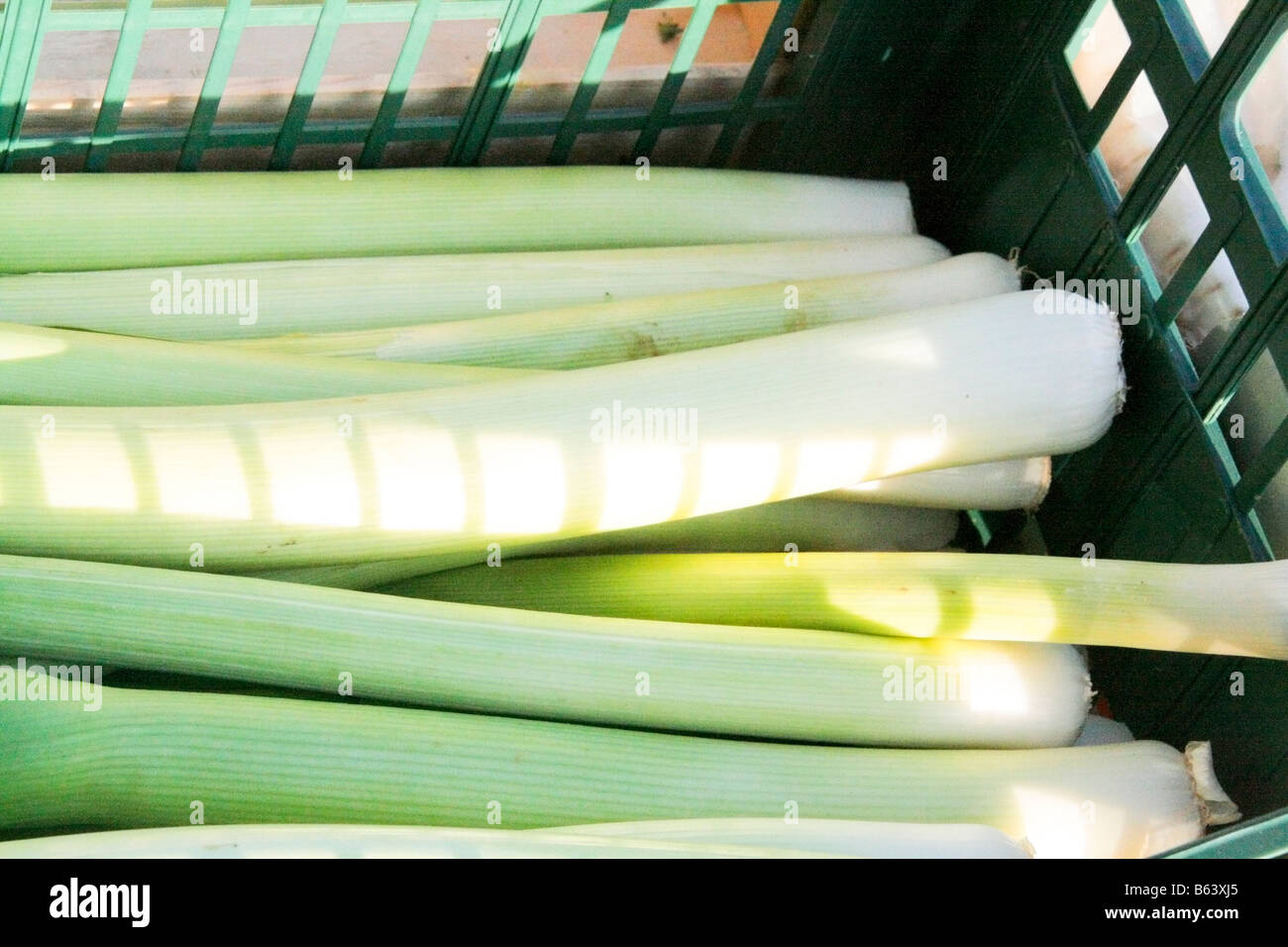 a bunch of spring onions in a food market Stock Photo