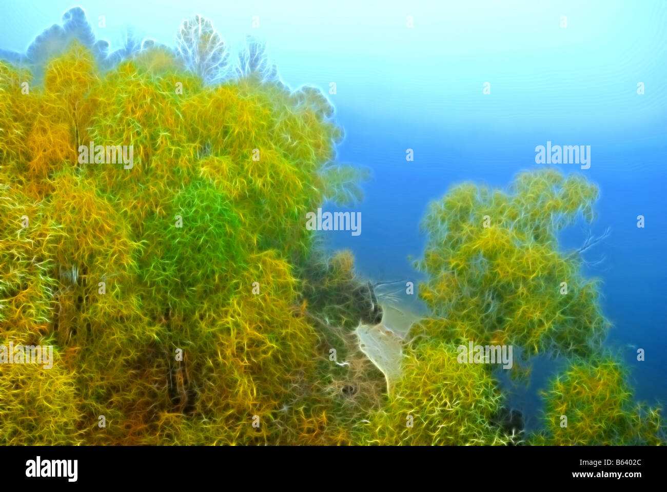 Autumn landscape trees in a fog on a grey background Stock Photo - Alamy