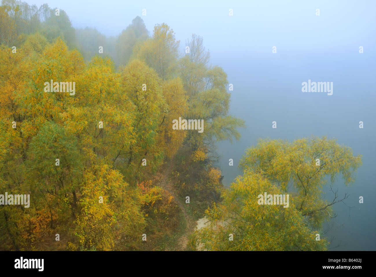 Autumn landscape trees in a fog on a grey background Stock Photo - Alamy
