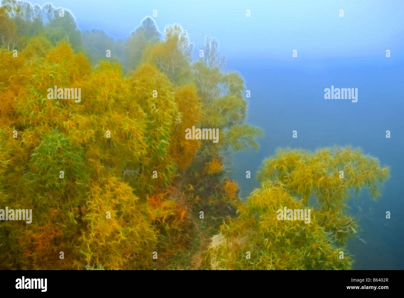 Autumn landscape trees in a fog on a grey background Stock Photo - Alamy