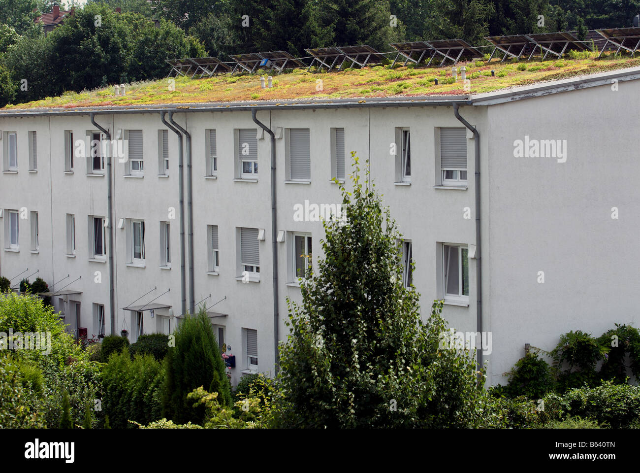 Sedum or 'living roof' and solar panels on apartments in Gelsenkirchen, North Rhine-Westphalia, Germany. Stock Photo