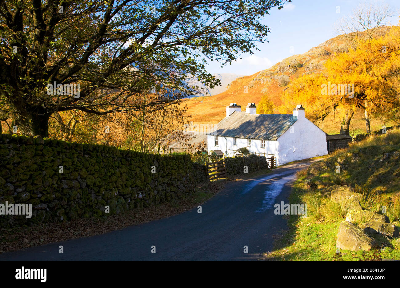 Typical whitewashed cottage farmhouse in autumn sunshine in the Lake District National Park, Cumbria, England, UK Stock Photo