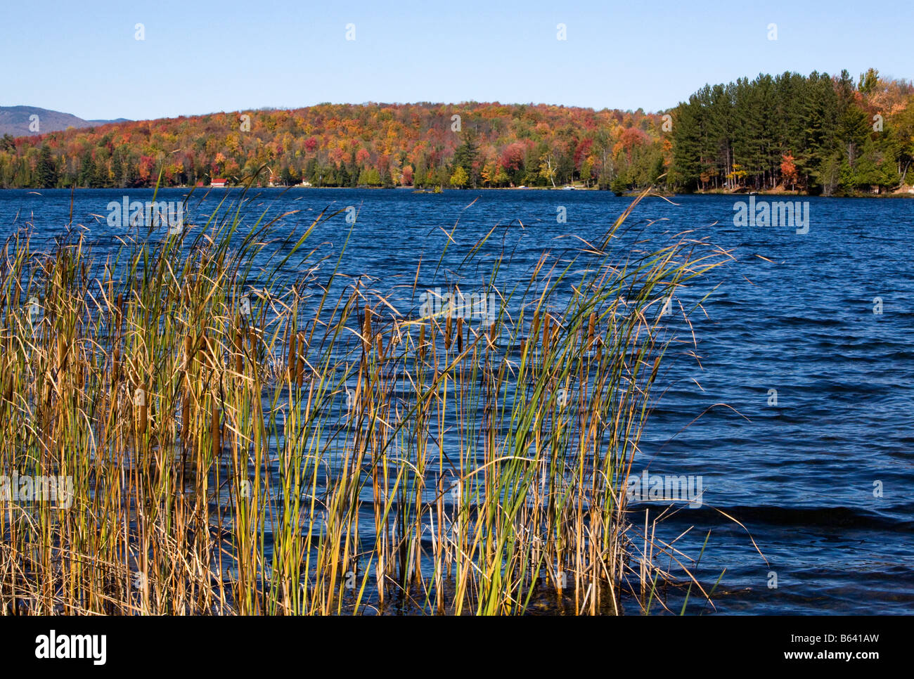 Indian Lake Adirondack State Park New York Stock Photo - Alamy