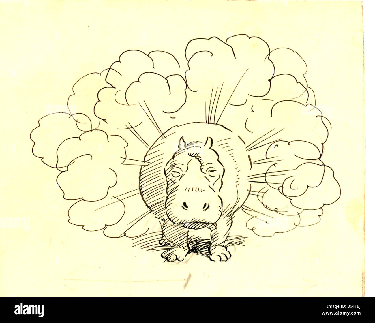 Original pen and ink drawing by Irish artist Morrow (c18691955