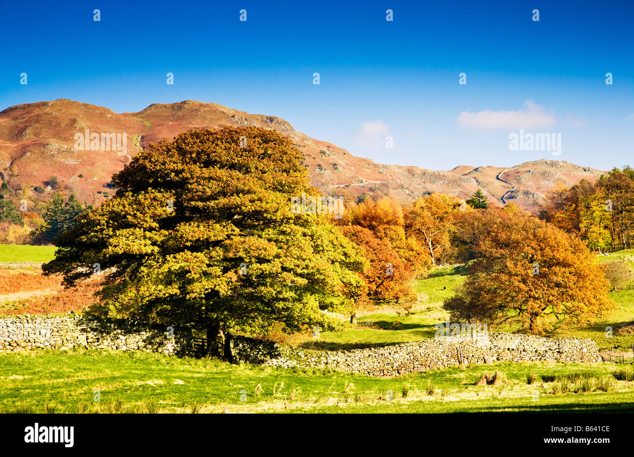 Typical sunny autumn day landscape scenery view in the Lake District National Park, Cumbria, England, UK Stock Photo