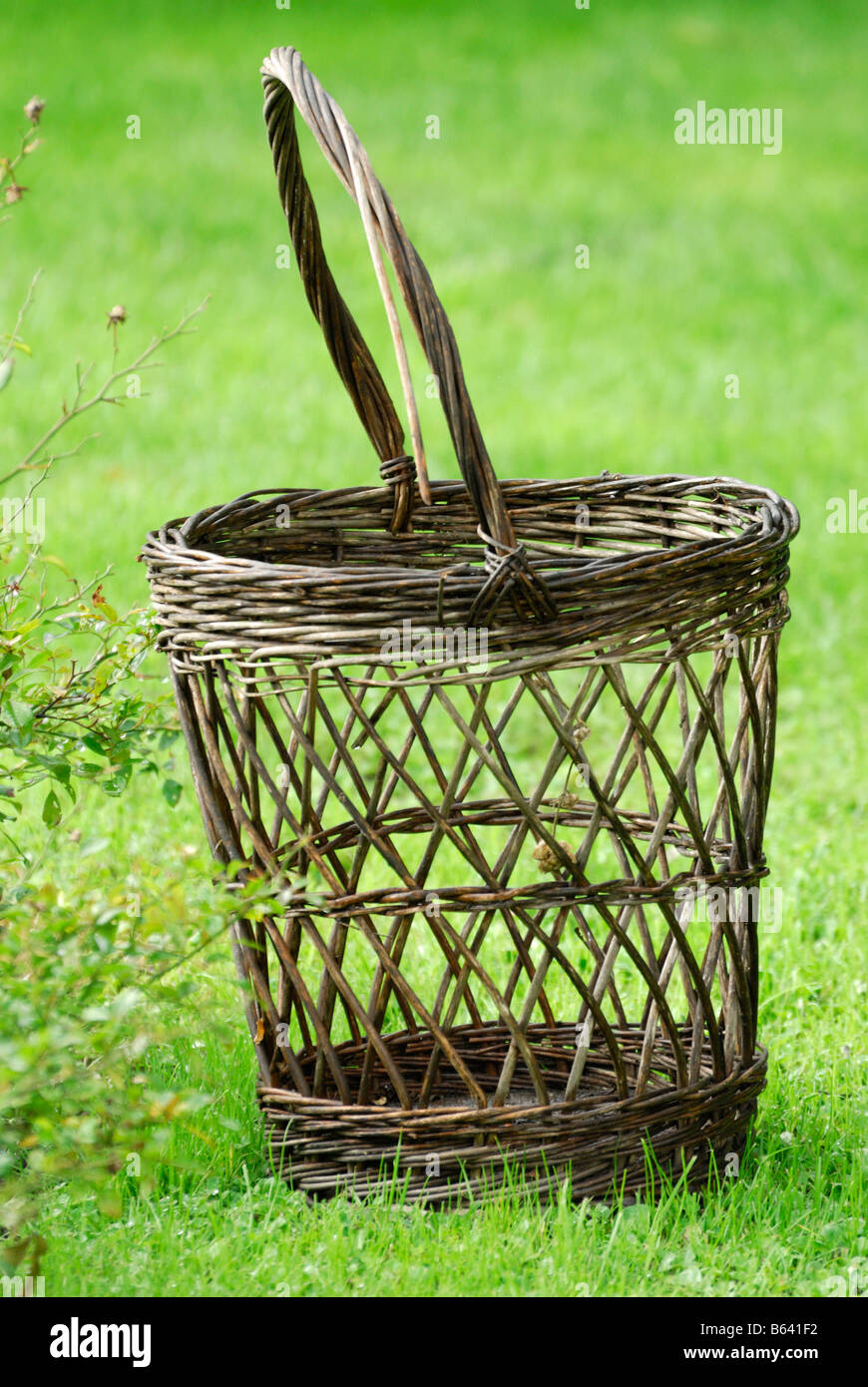 Twigged basket Stock Photo