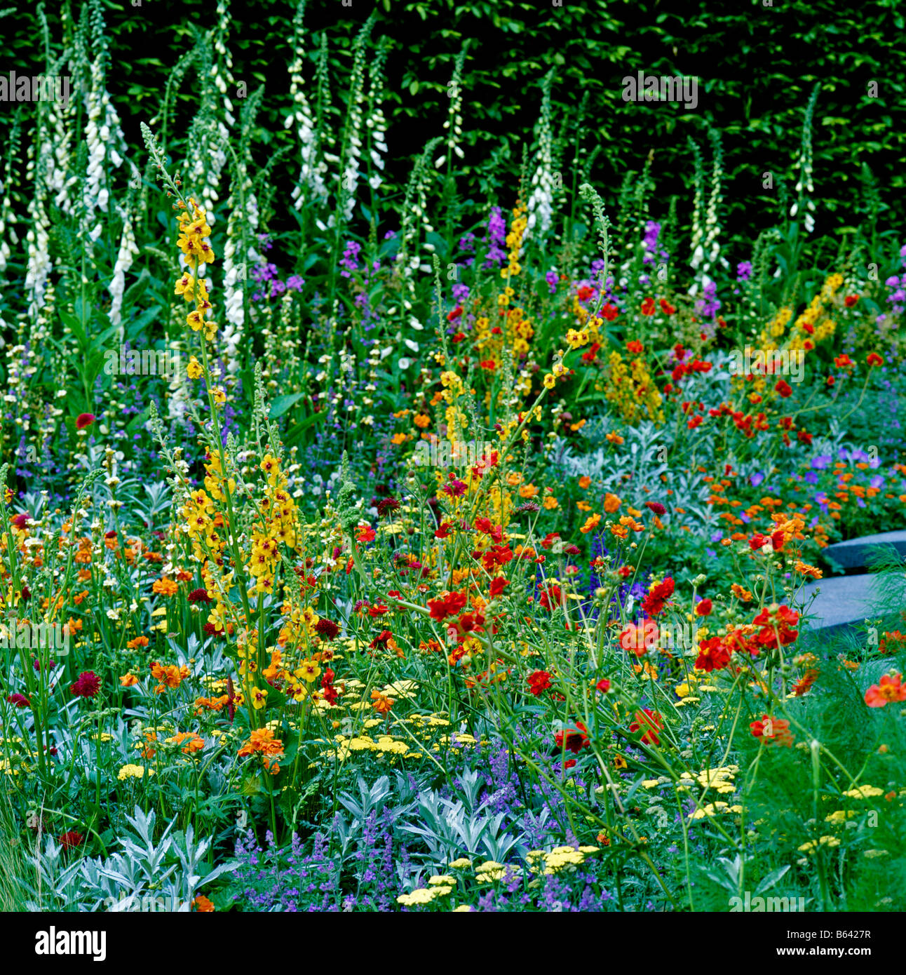 Mixed Border at Cancer Research Garden at Chelsea Stock Photo