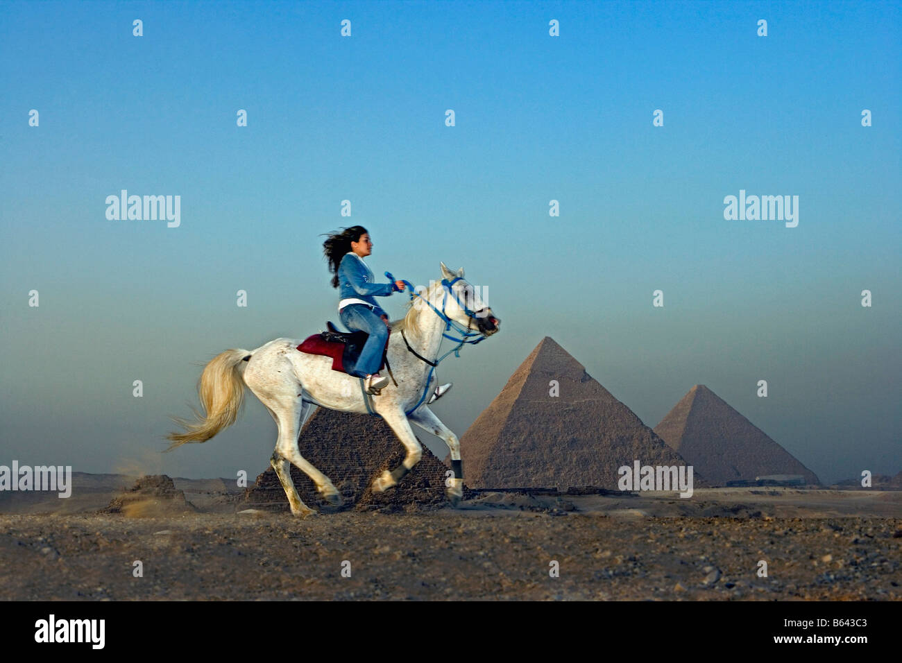 Egypt, Cairo, Giza, Local woman riding horse in front of the pyramids of Giza / Gizeh. Stock Photo