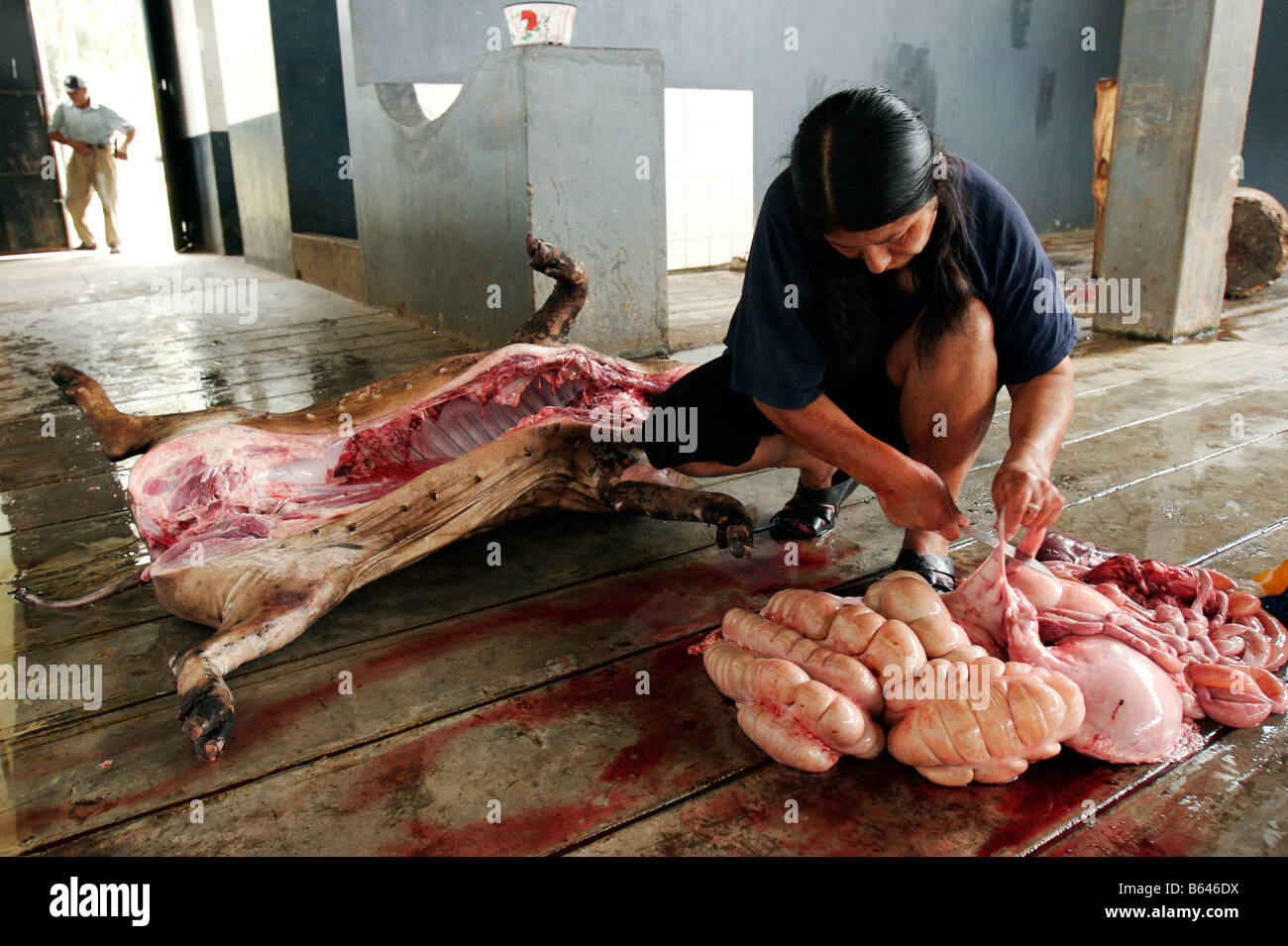 A WOMAN WORKING IN THE SLAUGHTERHOUSE IS PREPARING THE INTESTINES OF THE SACRIFICED ANIMALS TO SELL THEM LATER IN THE LOCAL MARK Stock Photo