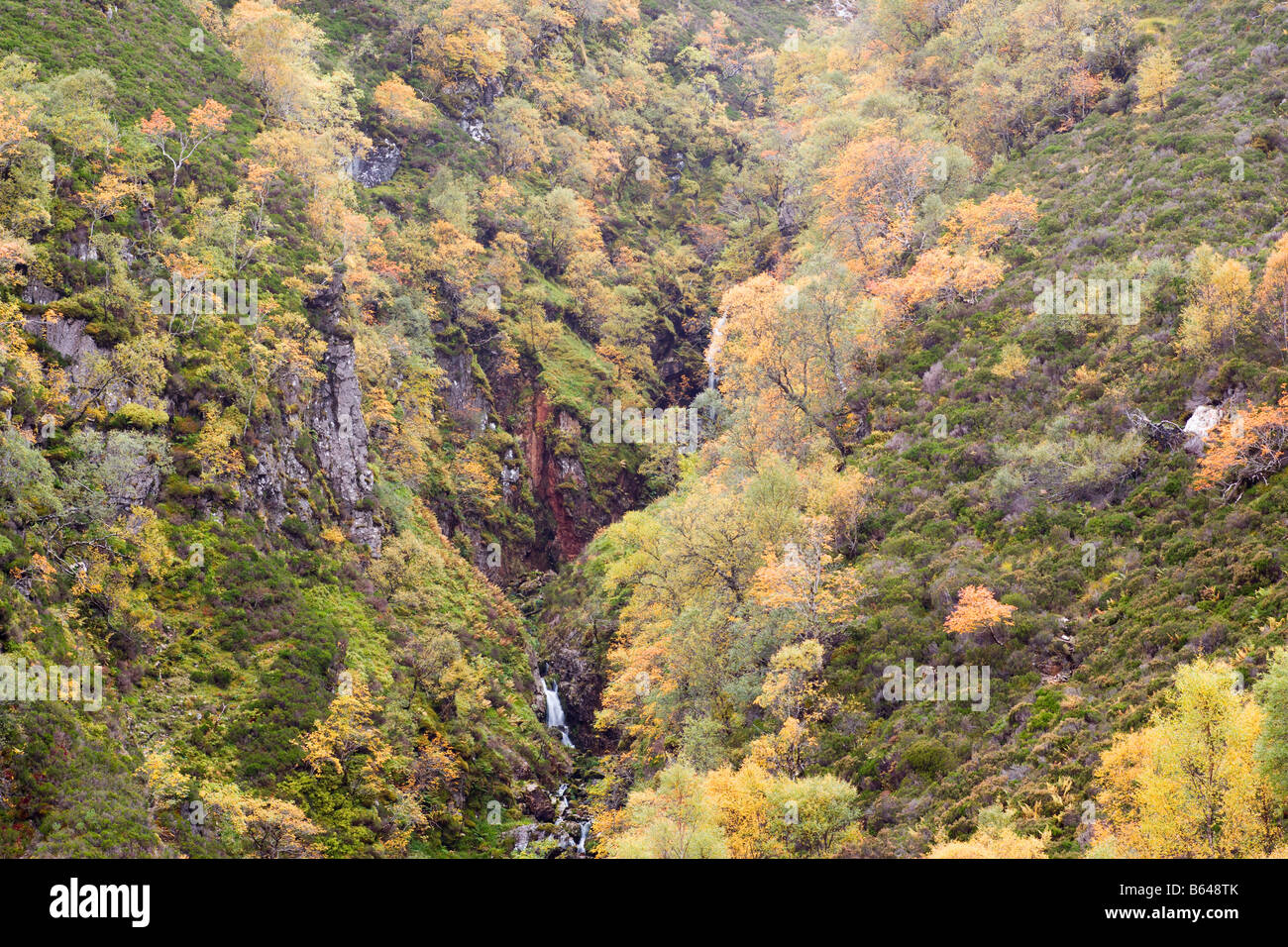 Ravine in autumn colours Stock Photo