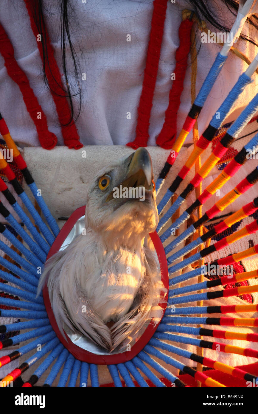 A Native American Indian decorated feather dance butt decoration with ...