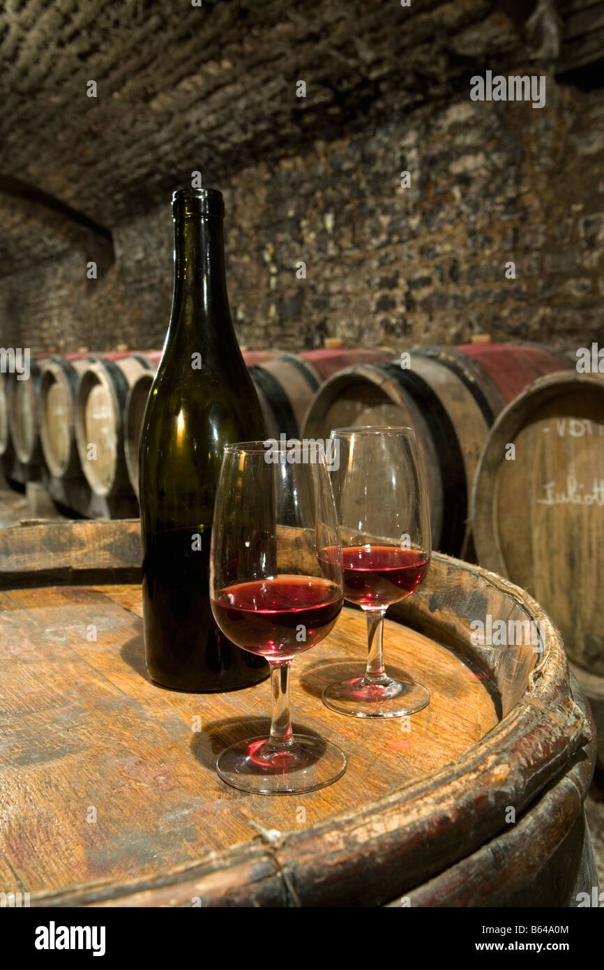 France, near Beaune, Burgundy, Wine tasting in wine cellar Stock Photo