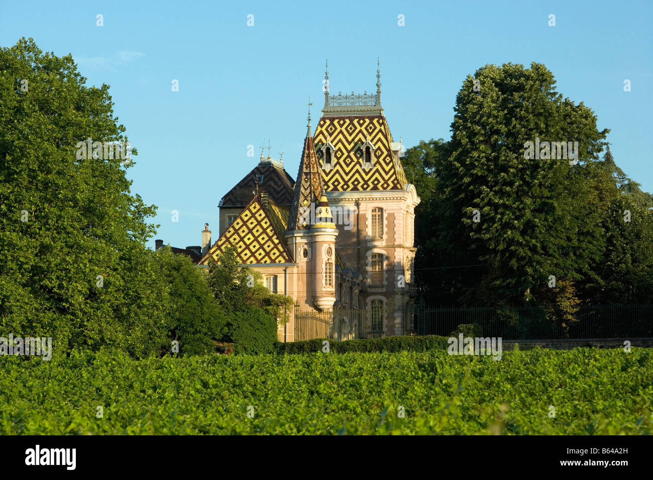 France, near Beaune, Burgundy, Village: Afoxe-Corton. Castle: Andre Corton. Vineyard. Stock Photo