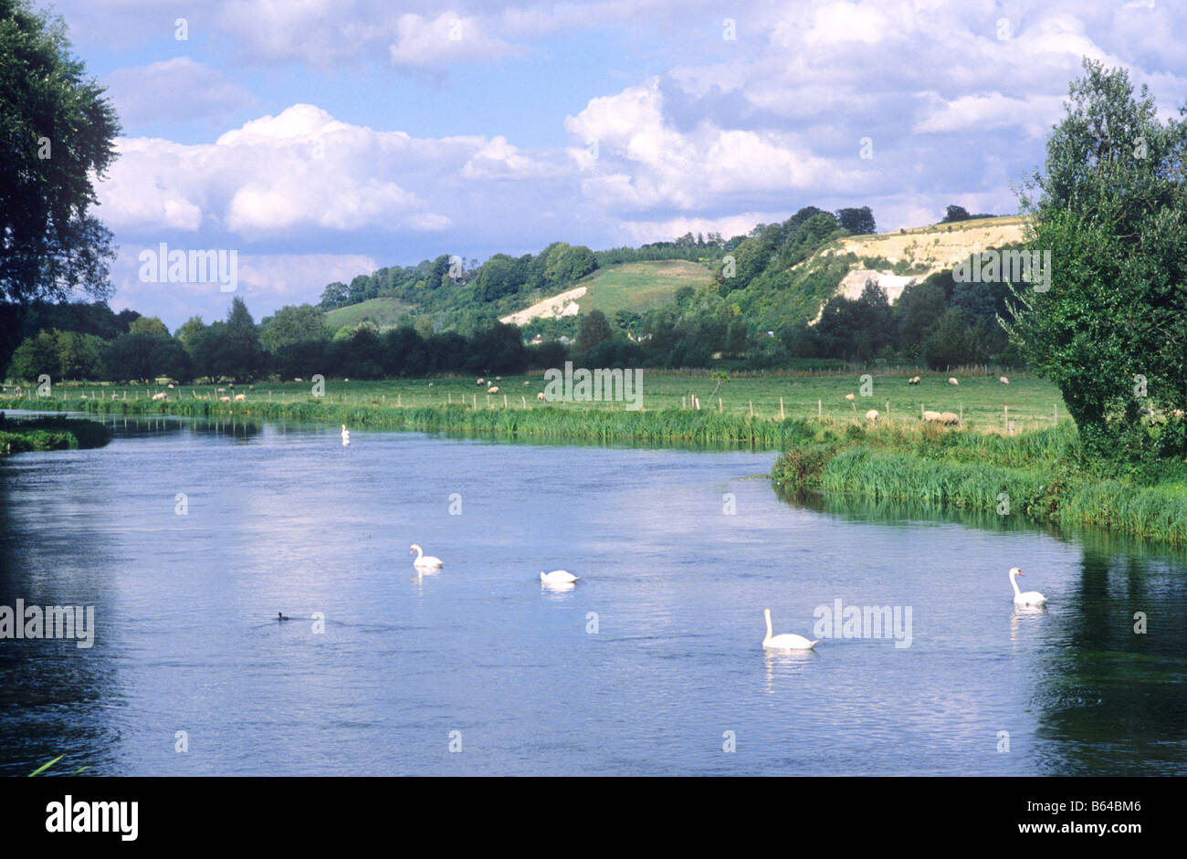 River test uk hi-res stock photography and images - Alamy