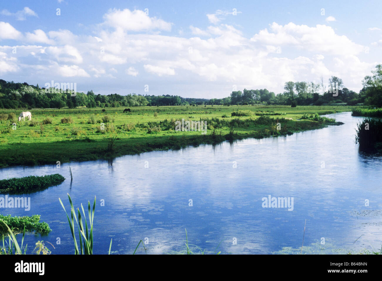 River Test Water Meadows Stockbridge Hampshire England UK green English ...