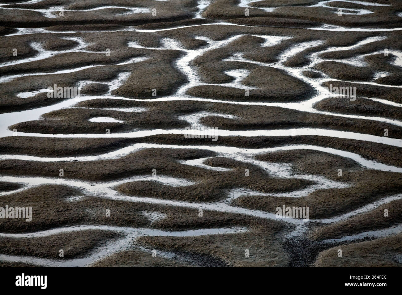 Marsh Patterns main image 1