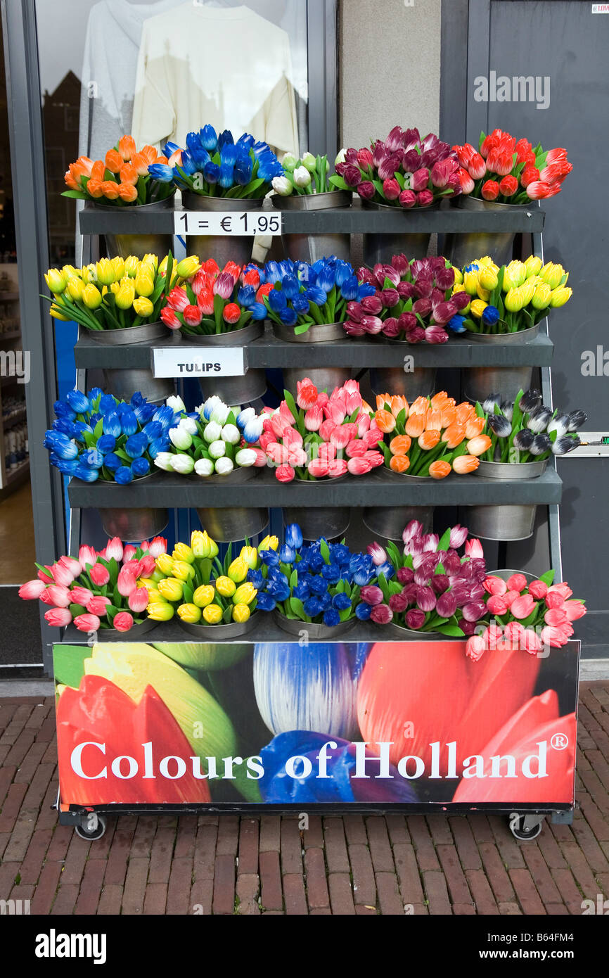 Tulip national flower netherlands hires stock photography and images